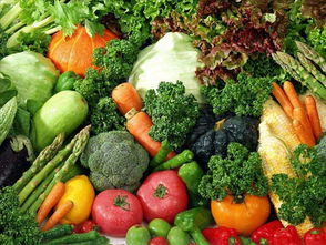 市政协农业界 建立统一的地产绿色食品公共产销服务平台