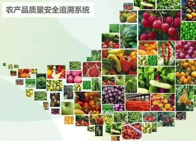 王飞农场成为首批农产品质量安全追溯示范点