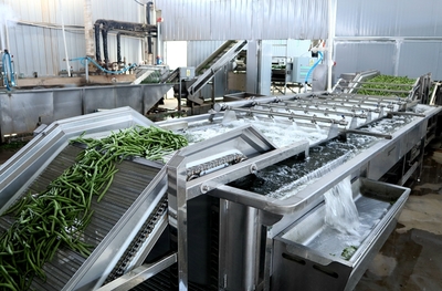 临泽县人民政府-282户种植户喜领康利脱水蔬菜公司二次返利12.3万元